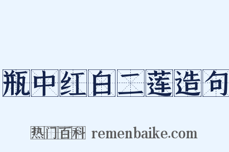瓶中红白二莲造句是什么意思的图片
